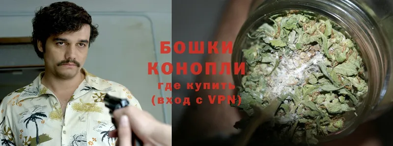 Конопля OG Kush  Советская Гавань 